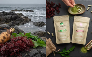 What Is Wild Chondrus Crispus and Its Refined Power in CMOS+