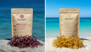Gold vs Purple Sea Moss: A Guide for Your Health