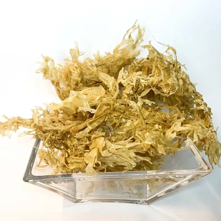 Chondrus Crispus Organic Irish Sea Moss Sun Kissed
