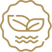 A traditional, whole-food marine botanical 