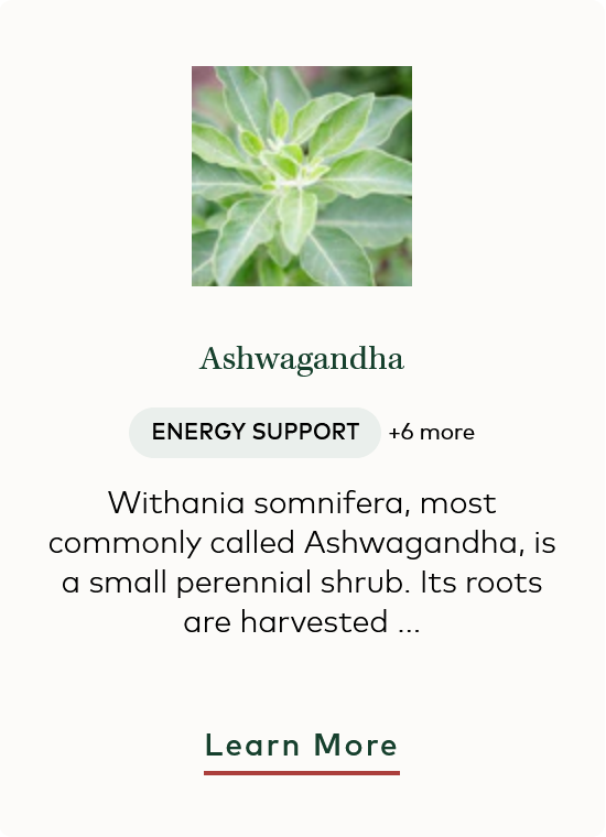 Ashwagandha Pills Capsules For Stress